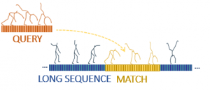 subseq_search